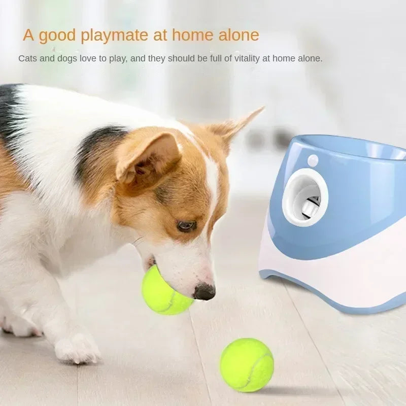 Ball Launcher for Pets